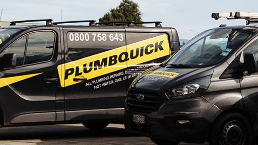 Professional Levin Plumbers